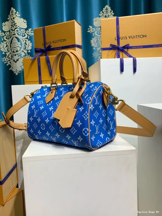 Cheap Vuitton SPEEDY Louis 25 0812